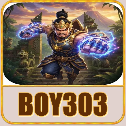 Troubleshooting boy303